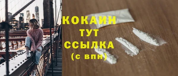 дмт Нягань