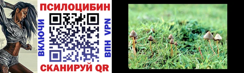 Галлюциногенные грибы Magic Shrooms  Почеп 
